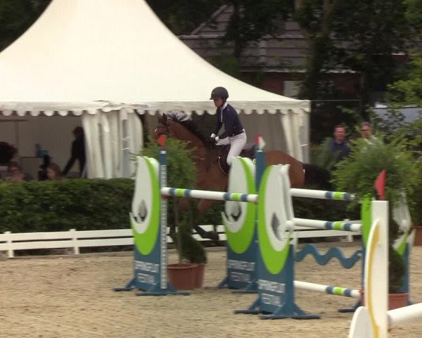 Reitturnier Hörup 2019