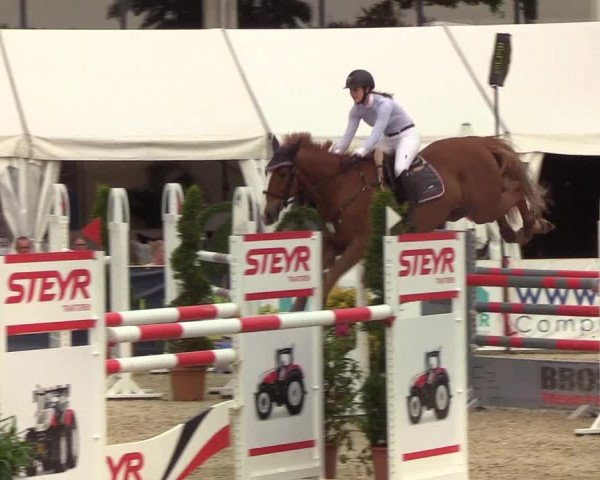 Reitturnier Hörup 2019
