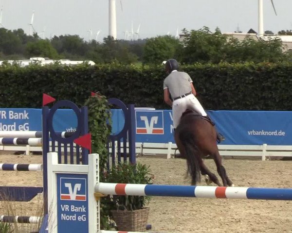 Reitturnier Hörup 2019