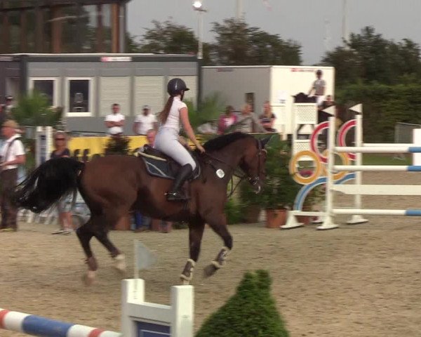 Reitturnier Hörup 2019