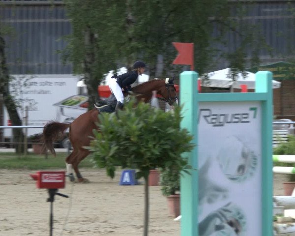 Reitturnier Herbern 2019