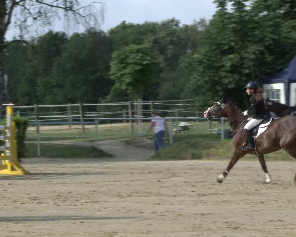 Reitturnier Herbern 2019