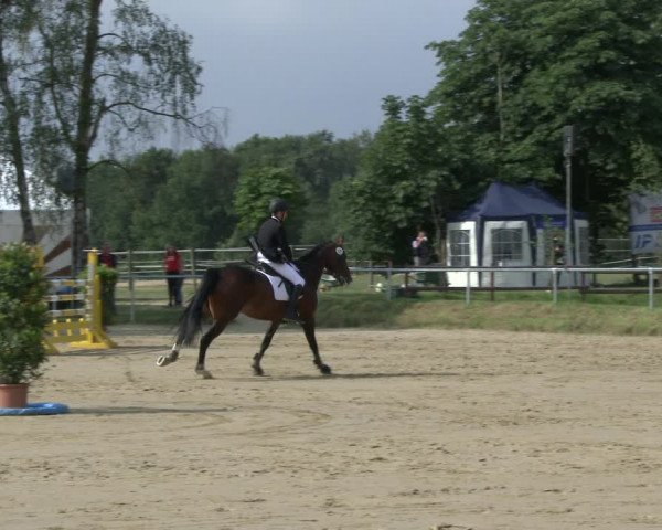 Reitturnier Herbern 2019