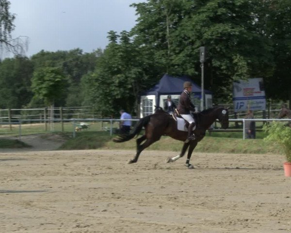 Reitturnier Herbern 2019