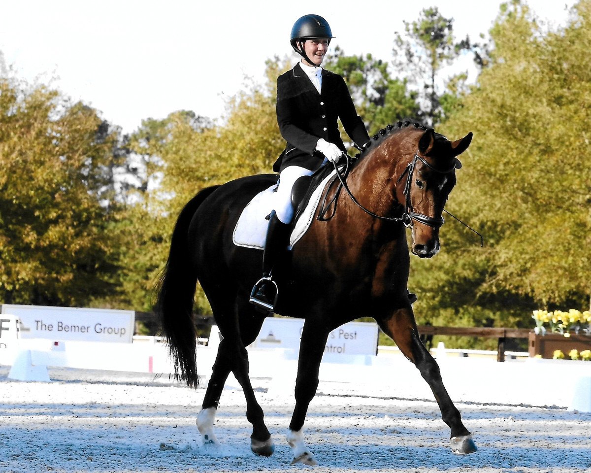 horse Heinrich von Küsten (Hanoverian, 2014, from Heinrich Heine)