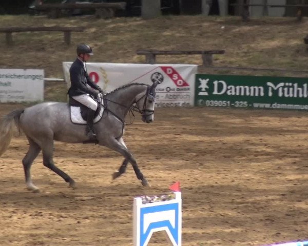 Reitturnier CSN Calvörde 2019
