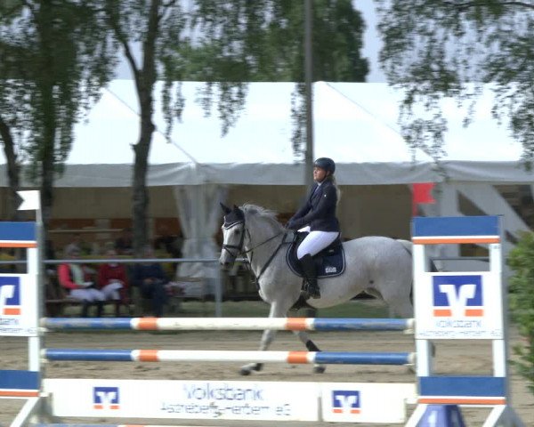 Reitturnier Herbern 2019
