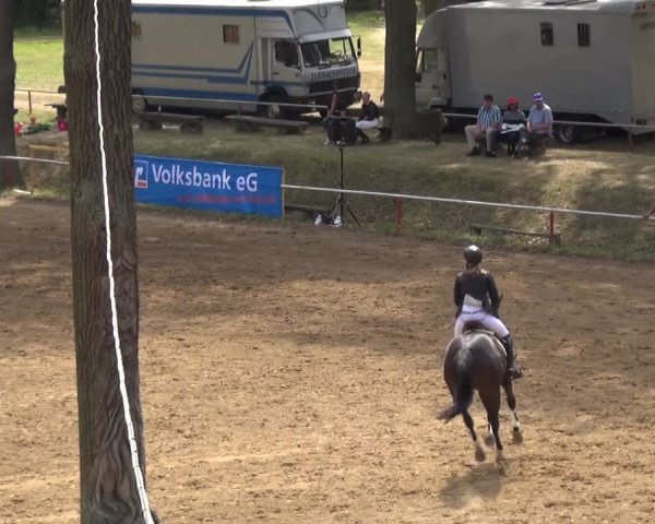 Reitturnier CSN Calvörde 2019