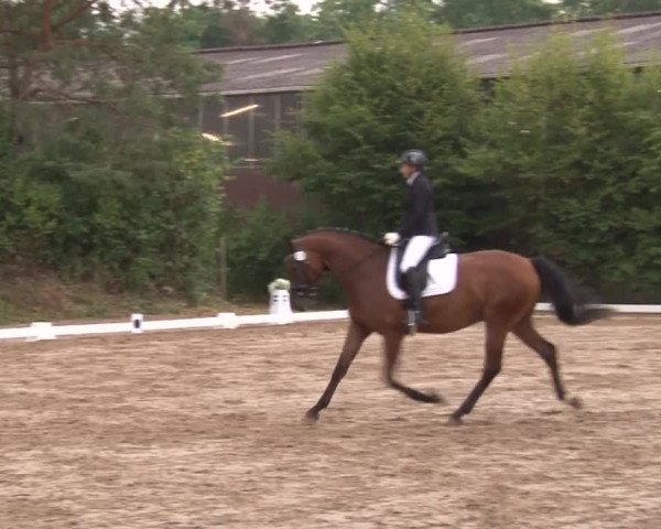 Reitturnier Kleinostheim/Ufr. 2019
