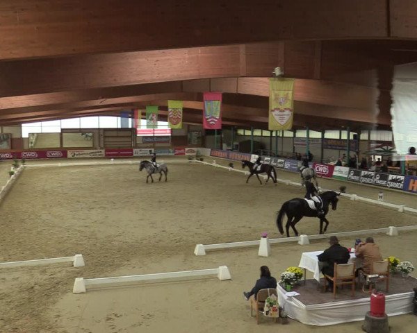 Steinhagen Classics 2021