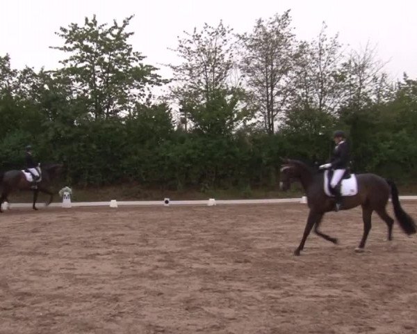 Reitturnier Kleinostheim/Ufr. 2019
