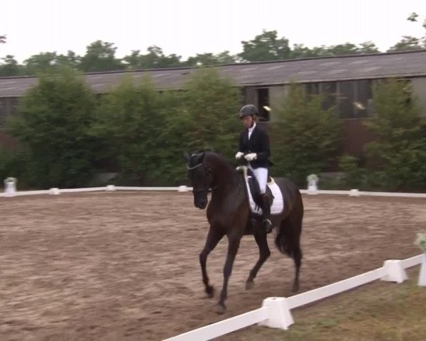 Reitturnier Kleinostheim/Ufr. 2019