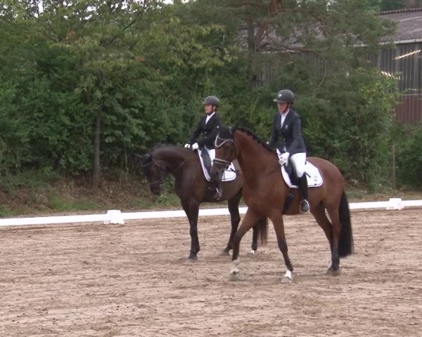 Reitturnier Kleinostheim/Ufr. 2019