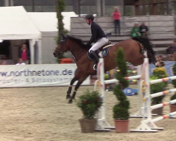 Reitturnier Hörup 2019