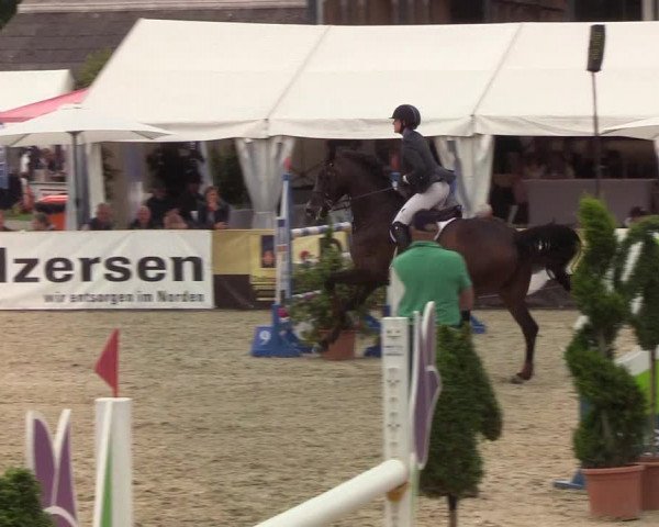 Reitturnier Hörup 2019