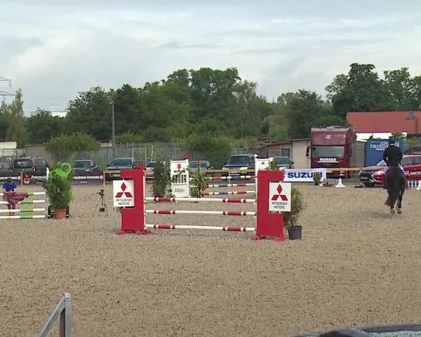 Reitturnier Kleinostheim/Ufr. 2019