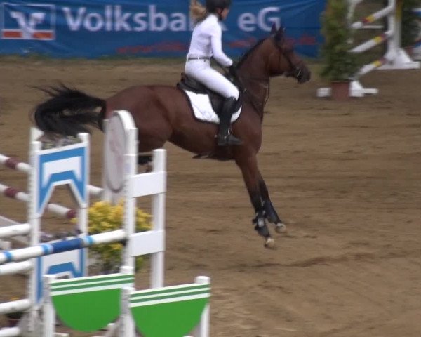 Reitturnier CSN Calvörde 2019