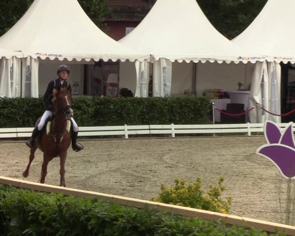Reitturnier Hörup 2019
