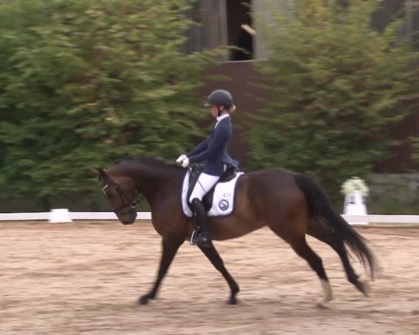 Reitturnier Kleinostheim/Ufr. 2019