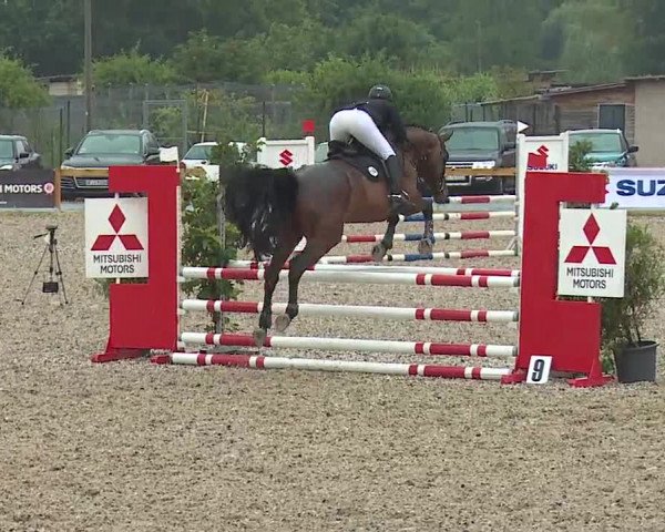 Reitturnier Kleinostheim/Ufr. 2019