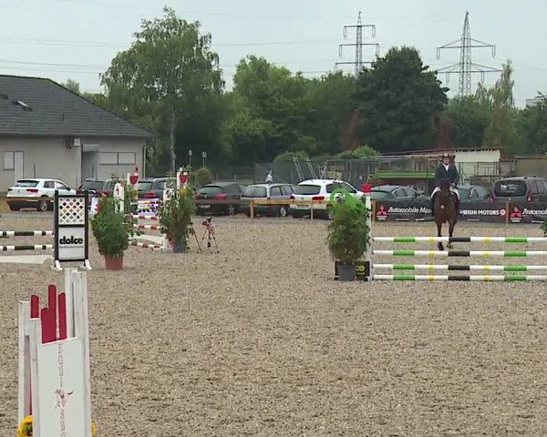 Reitturnier Kleinostheim/Ufr. 2019