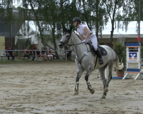 Reitturnier Herbern 2019