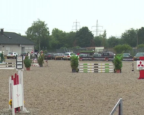 Reitturnier Kleinostheim/Ufr. 2019
