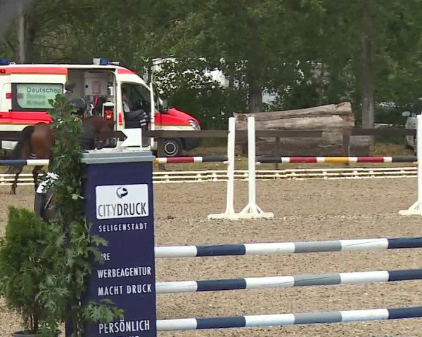 Reitturnier Kleinostheim/Ufr. 2019