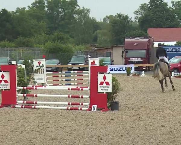 Reitturnier Kleinostheim/Ufr. 2019