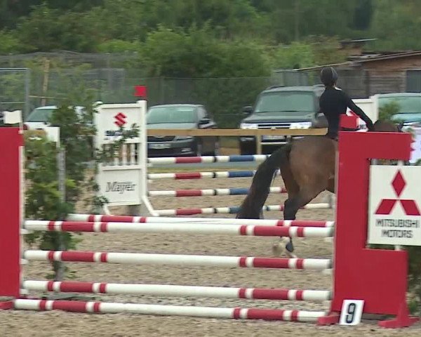 Reitturnier Kleinostheim/Ufr. 2019