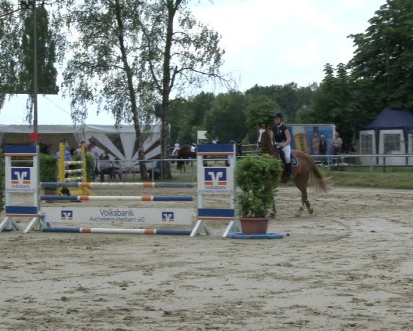 Reitturnier Herbern 2019