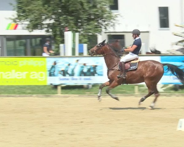 Reitturnier Dagmersellen 2019