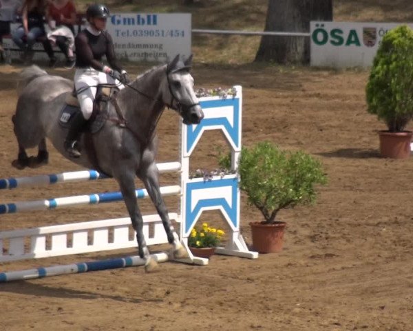 Reitturnier CSN Calvörde 2019
