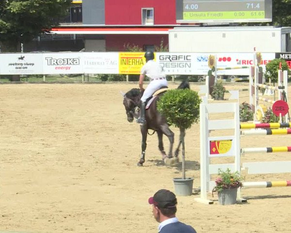 Reitturnier Dagmersellen 2019