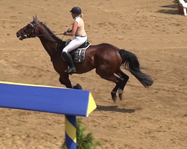Reitturnier CSN Calvörde 2019