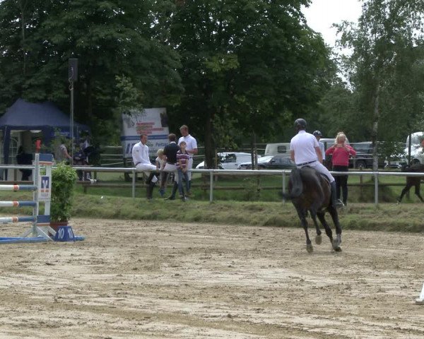 Reitturnier Herbern 2019