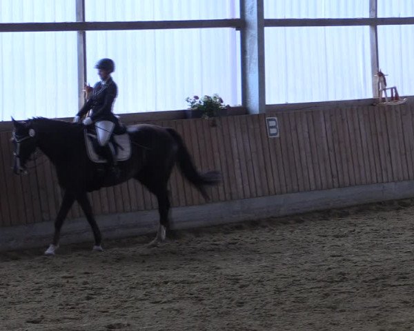 Reitturnier Herbern 2019