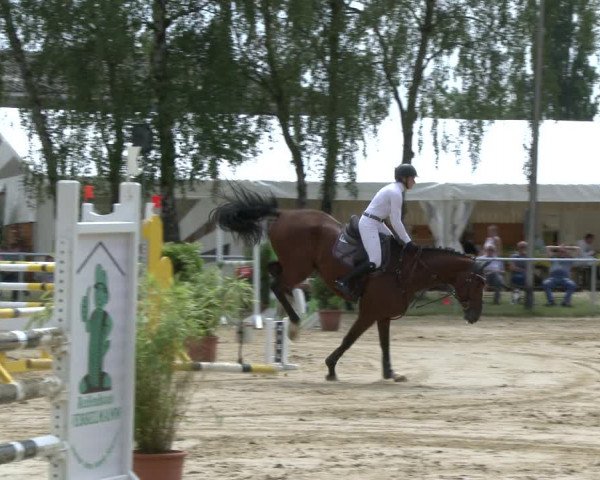 Reitturnier Herbern 2019