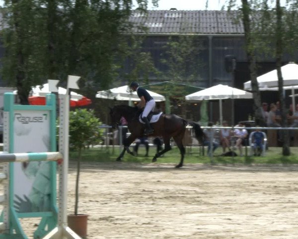 Reitturnier Herbern 2019