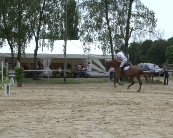 Reitturnier Herbern 2019