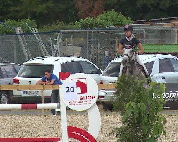 Reitturnier Kleinostheim/Ufr. 2019