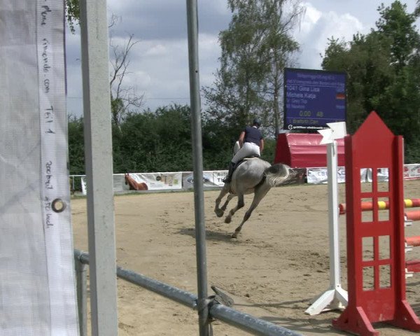 Reitturnier Herbern 2019