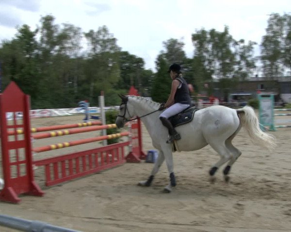 Reitturnier Herbern 2019