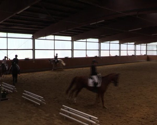 Reitturnier Herbern 2019