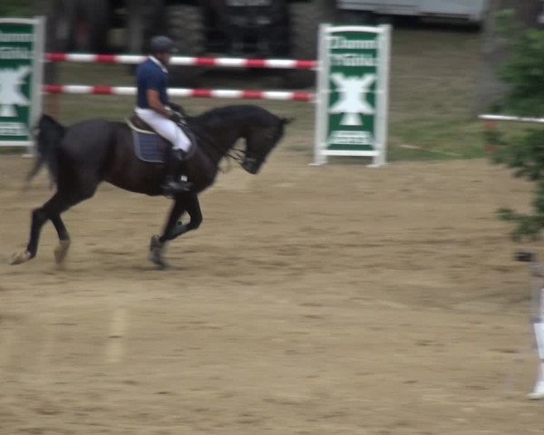 Reitturnier CSN Calvörde 2019