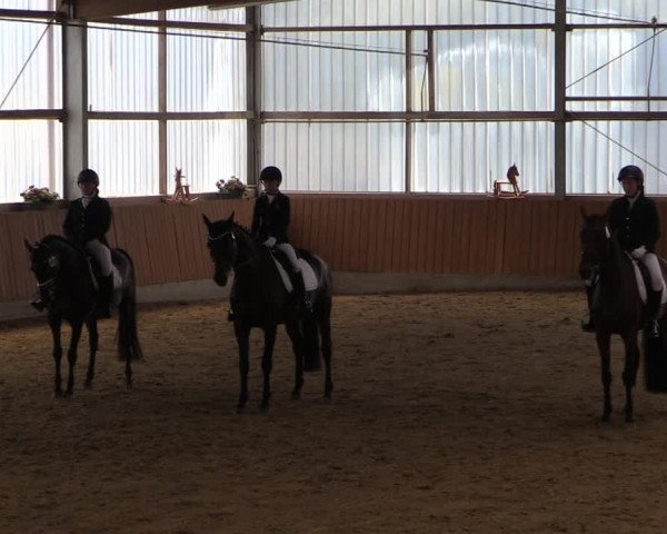 Reitturnier Herbern 2019