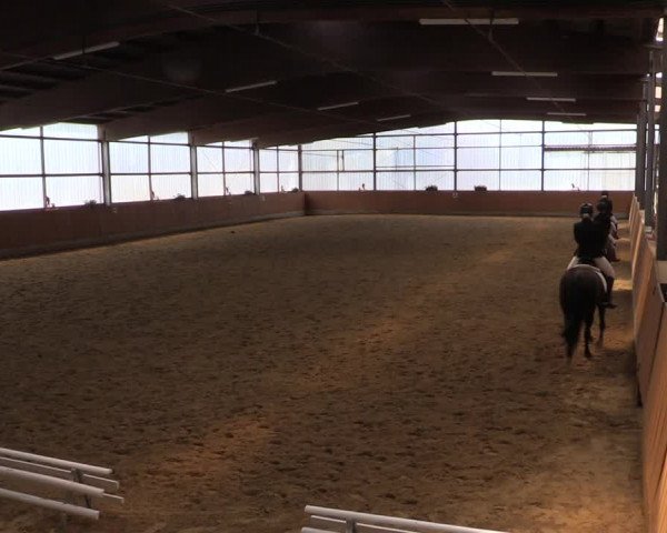 Reitturnier Herbern 2019
