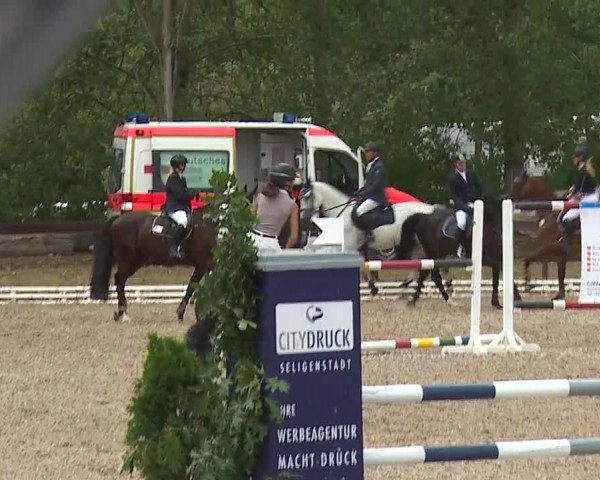 Reitturnier Kleinostheim/Ufr. 2019