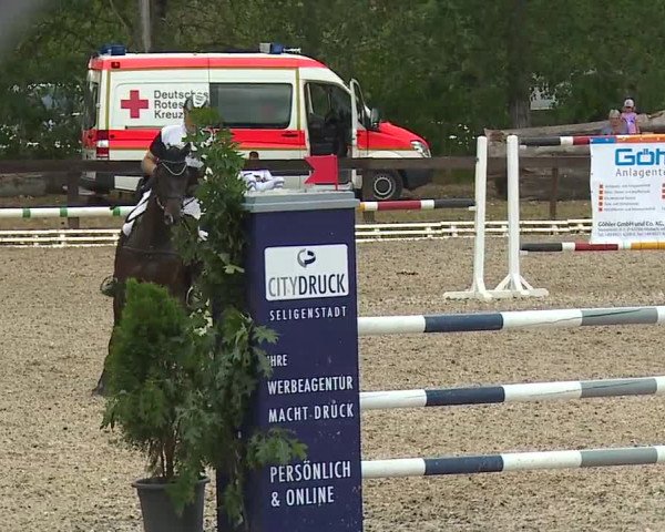 Reitturnier Kleinostheim/Ufr. 2019
