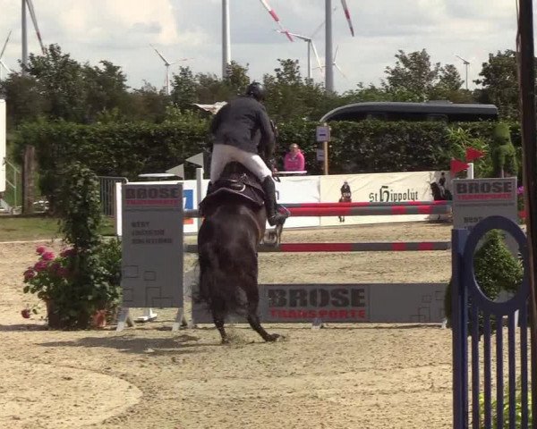 Reitturnier Hörup 2019